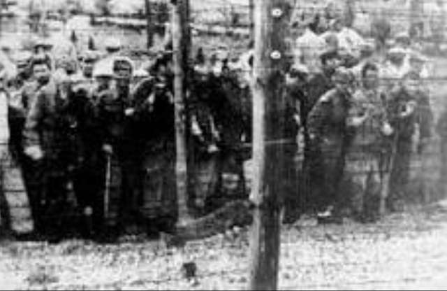Liberation of Majdanek