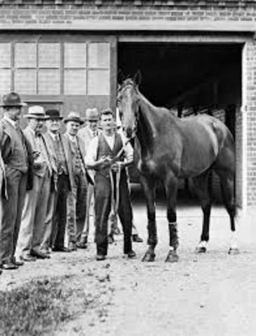Phar Lap started to make headlines and draw attention after winning the Chelmsford Stakes at Randwick