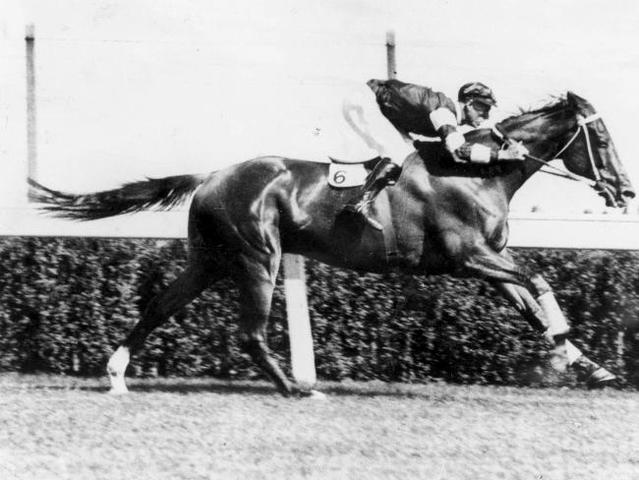 Phar Lap won the Melbourne Cup