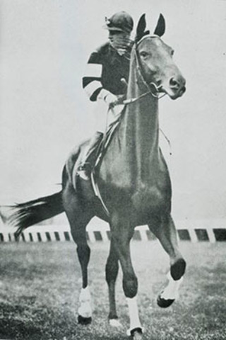 After winning the Melbourne Cup, Phar Lap was taken to America to race against new competition for higher stakes