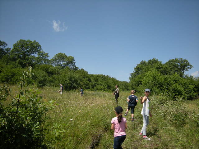 נסעתי לגור בגיאורגיה לתקופה קצרה