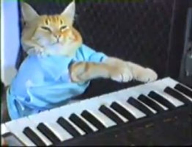 Keyboard Cat was posted