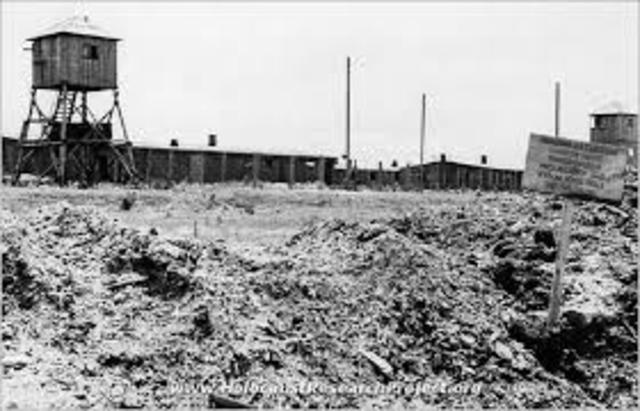 Discovery of Majdanek