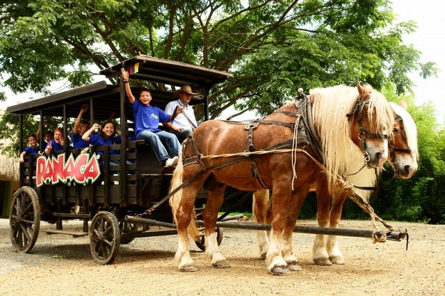 Fue por primerca vez a conocer Pana y a consentir animalitos.
