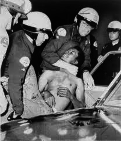 Los Angeles race riots