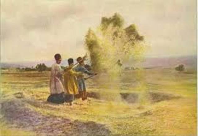 Peasant Crop Freedom