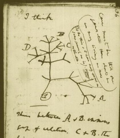 Origen de les espècies