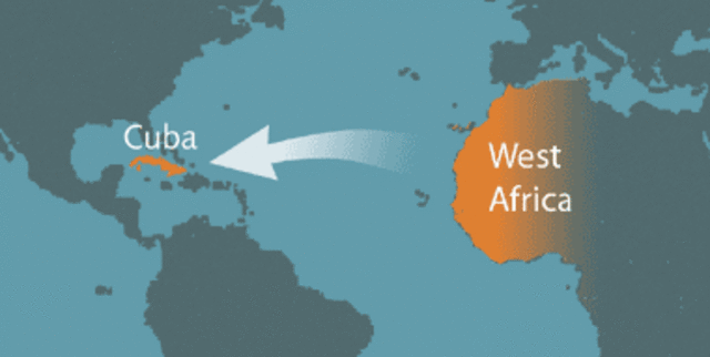 Slaves were shipped from Africa