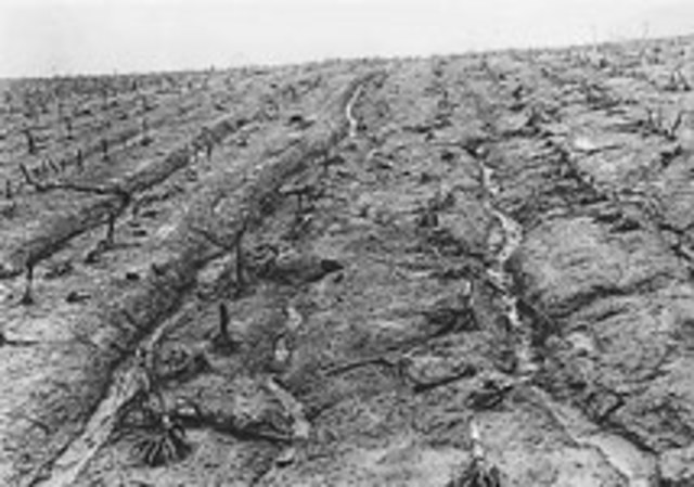 Soil Erosion Service