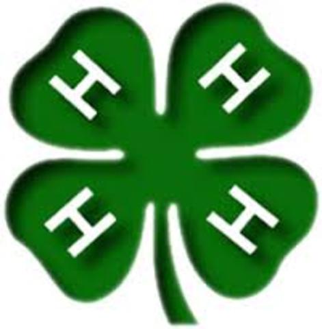 4-H