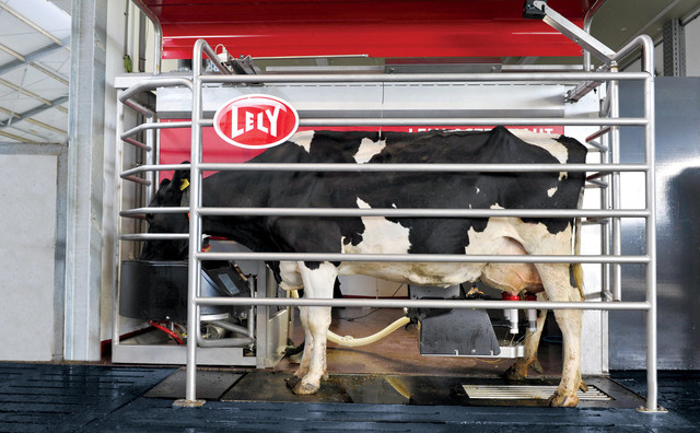 Robotic Milking machine