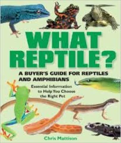 What do we want to know about reptiles?
