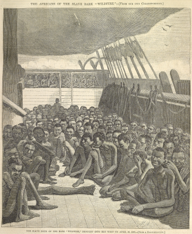 Poor hygiene in the ship