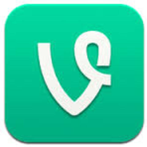Vine
