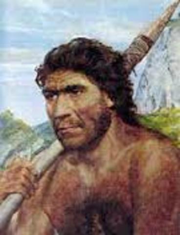 homo cromagnon
