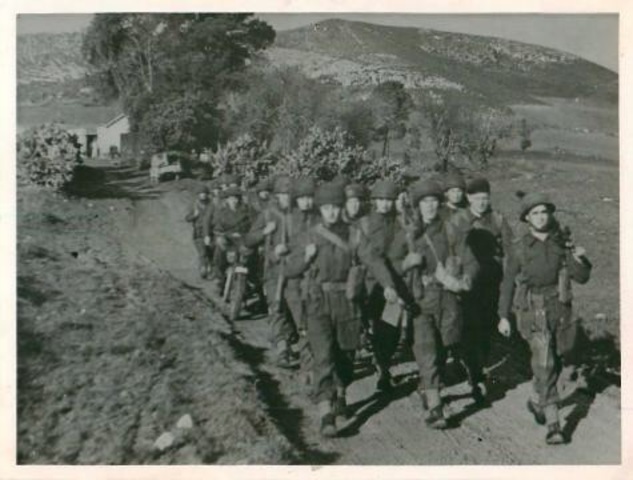 Invasion of Afrcia by Eisenhower