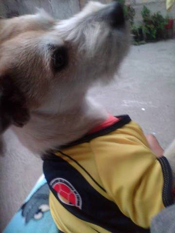 personajes importante en su vida