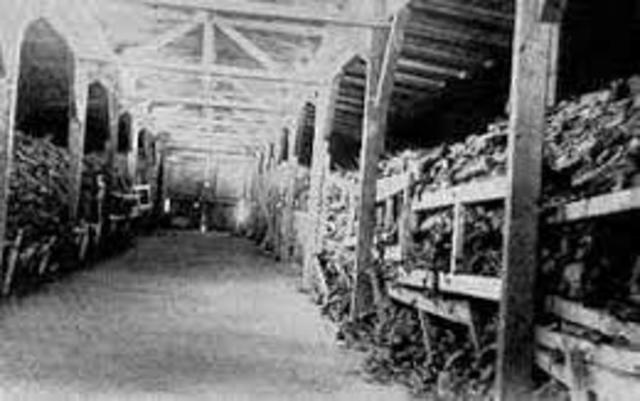 Discovery of Majdanek/1944