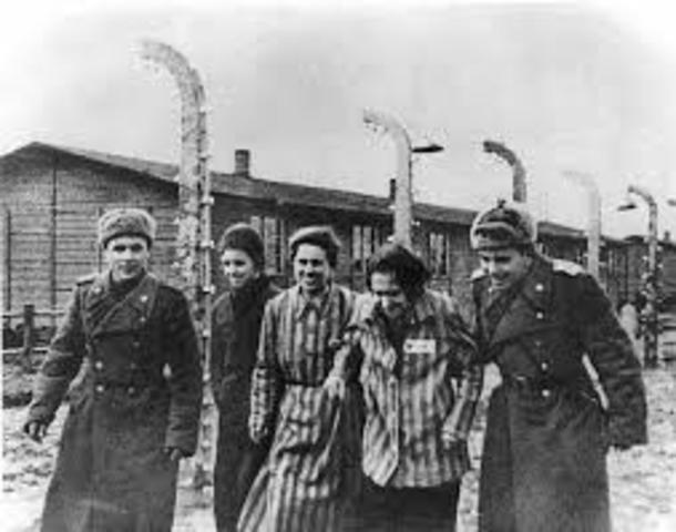 Auschwitz liberated by Allied Forces
