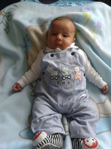 a pasos gigantes ....