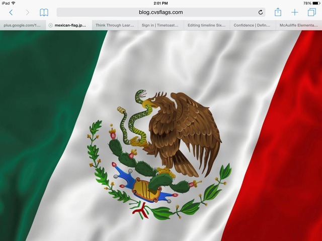Mexico flag