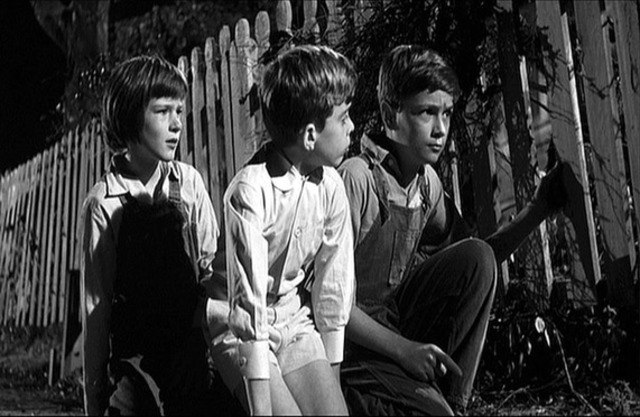 Scout, Jem, and Dill almost get caught at the Radley's