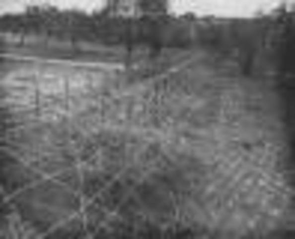 Barbed wire invented