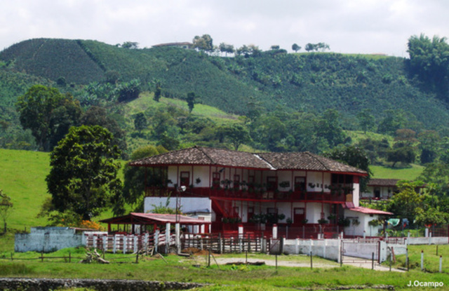 Fincas cafeteras en Caldas