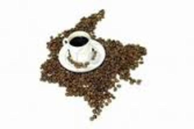 visperas de la primera bonanza cafetera