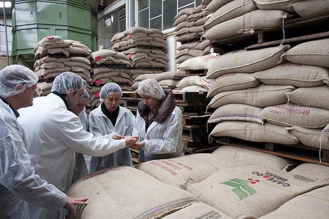 Desarrollo de la industria cafetera