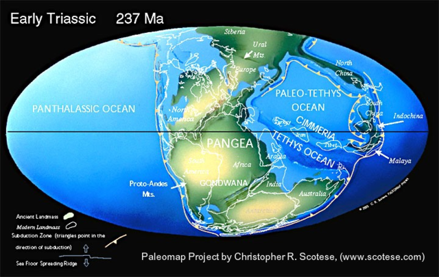 251 Mya: Triassic