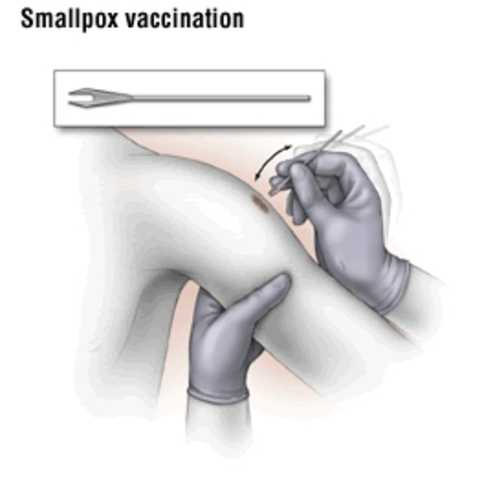 Smallpox Treatment