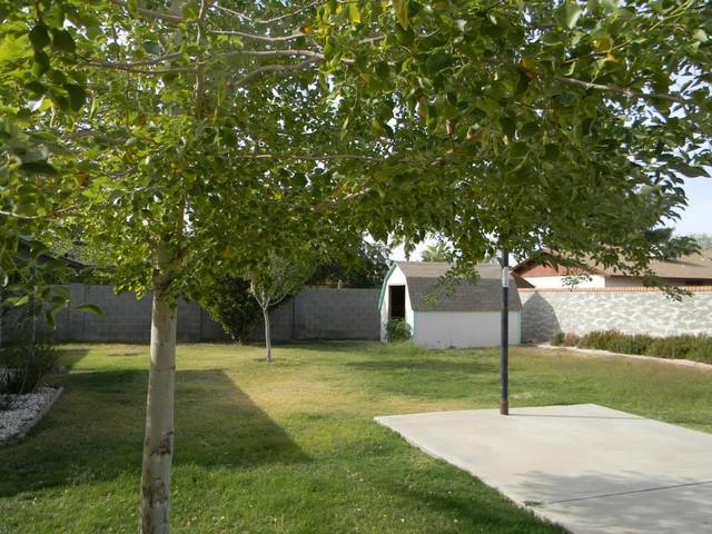 Move Back to Arizona