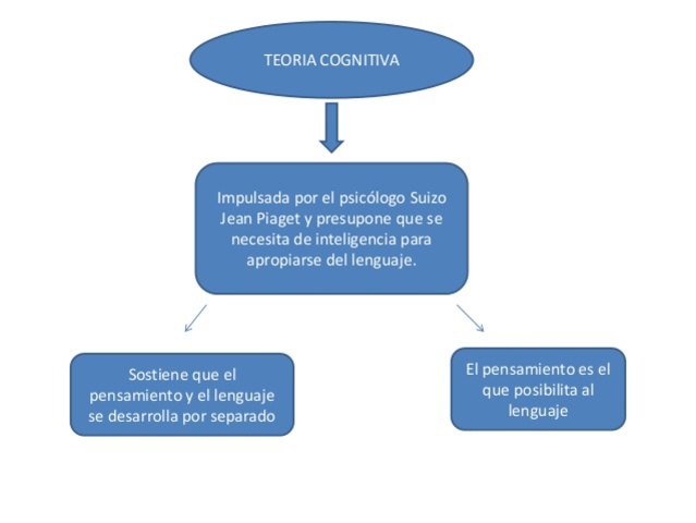 PERSPECTIVA COGNITIVA Y DESARROLLISTA