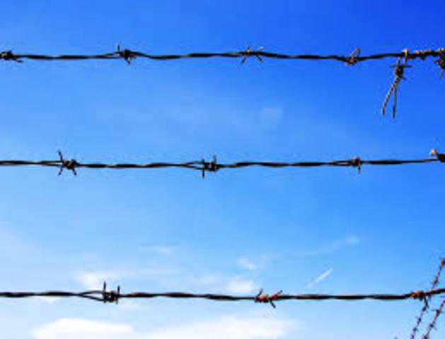 Barbed Wire
