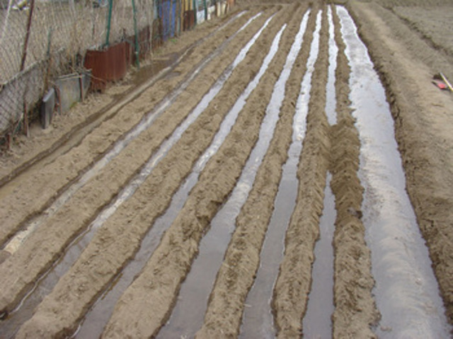first irrigation in Utah