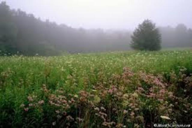 St Benedict left Rome to seek a better place