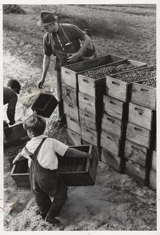 Federal regulation of child labor acheived in Fair labor Standard Act