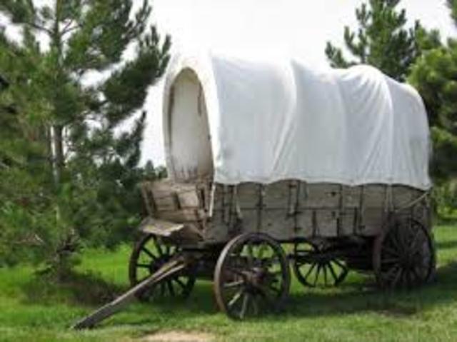 Covered Wagon