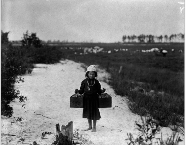 Second Attempt to gain federal regulations fails