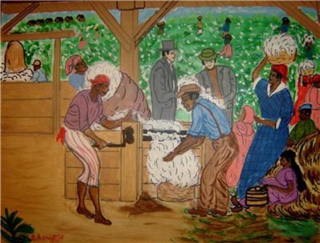 Cotton was MASS produced