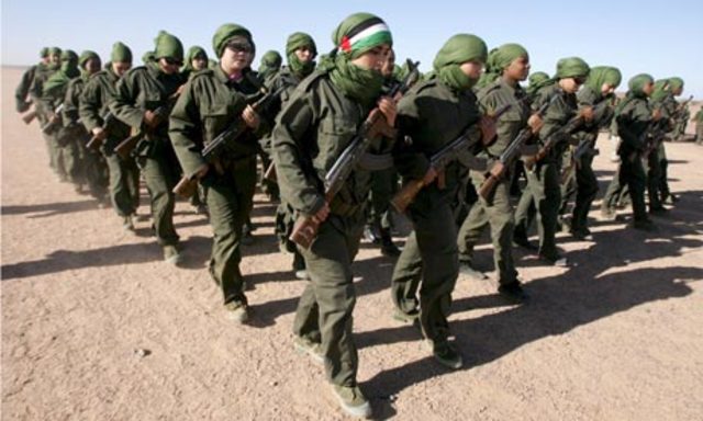 North Africa Liberated