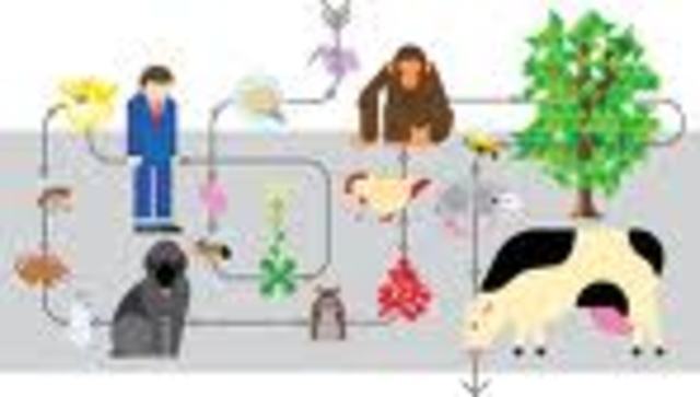 1ST FREE LIVING ORGANISM TO BE SEQUENCED