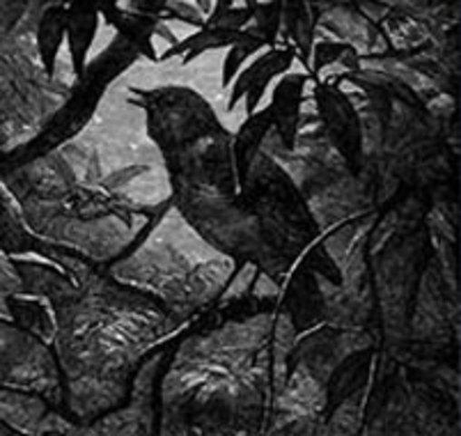 Ode to a Nightingale