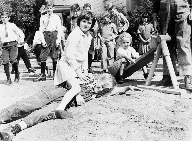 Scout Goes To School