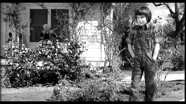 Jem Destorys Mrs. Dubose's Flowers