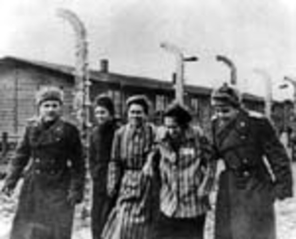 Auschwitz liberated by Allied Forces