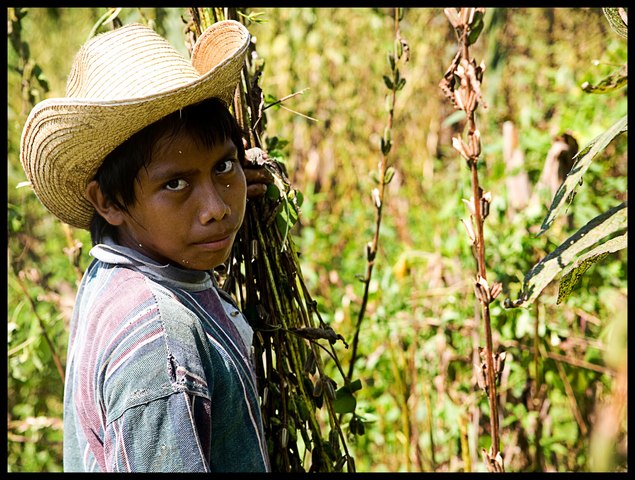 16 campesinos fueron asesinados, y varias casas fueron quemadas