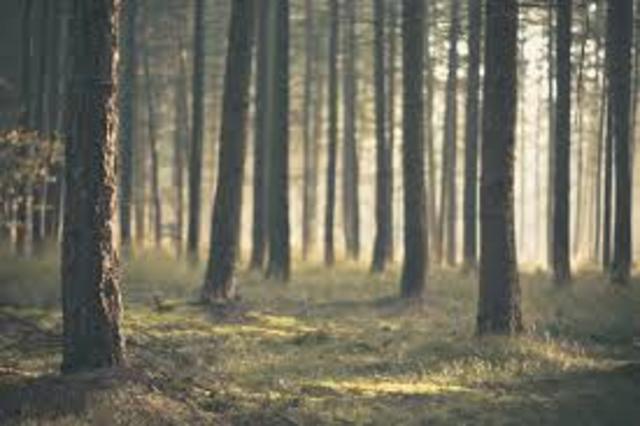 December 2032: The Green Morning