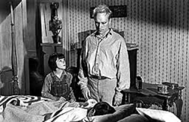 Scout walks Boo home